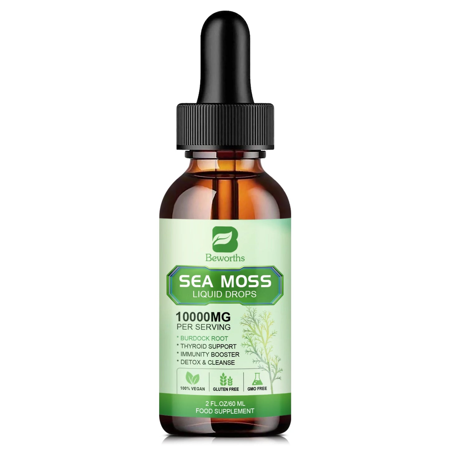 BEWORTHS Sea Moss Capsules with Burdock Root, Bladderwrack for Thyroid Joint Health Support Immunity, Gut & Energy Health