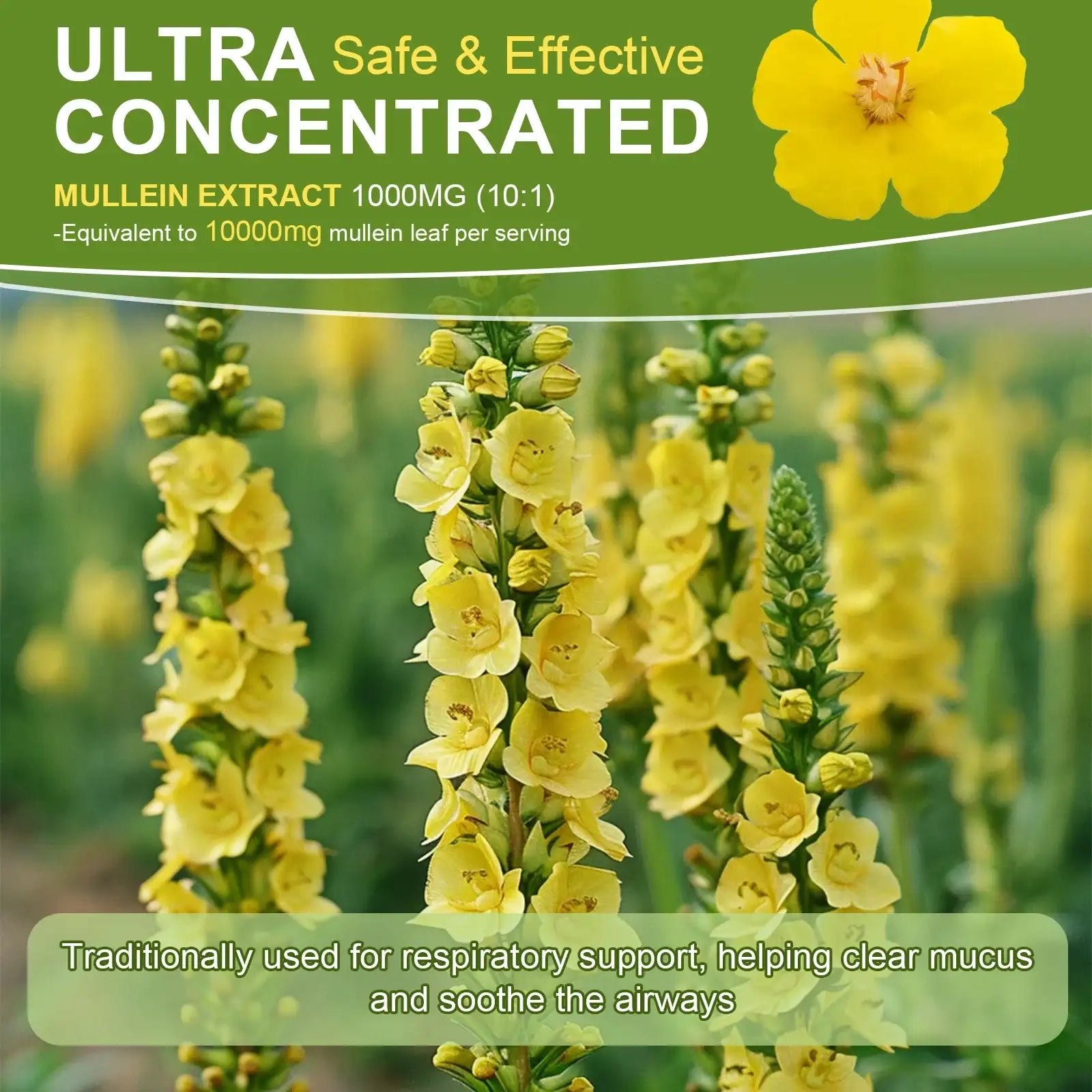 Lukaree Mullein Extract Drop 98% MAXIMIZE ABSORPTION Clean Lungs Relaxed Breathing Strong Immunity Digestion System Support